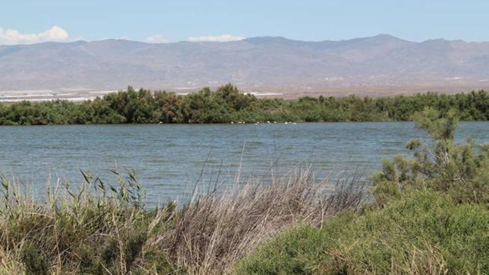 Imagen de la Albufera de Rambla Morales, en Níjar