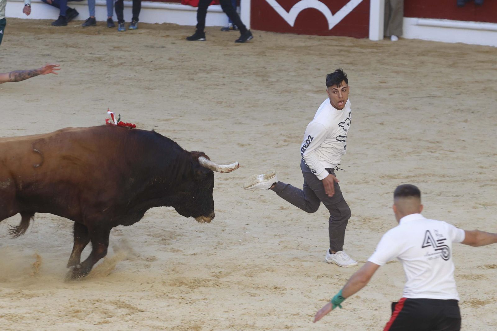 Fotos de los encierros del sábado del Toro Embolao en Los Barrios