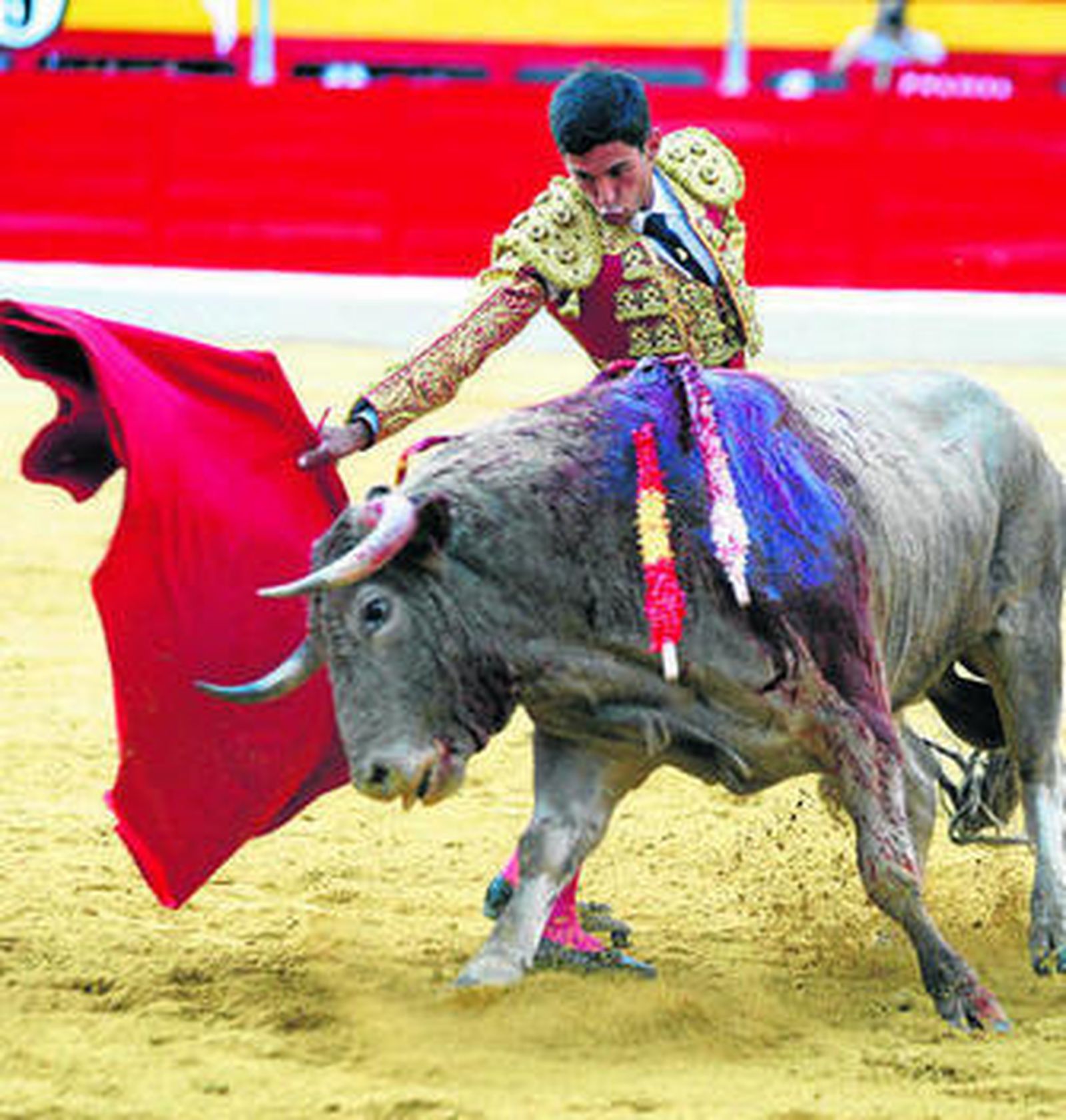 Alejandro Enríquez no perdió la compostura.