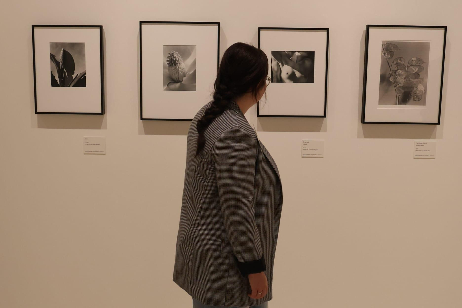 Cuadros de la nueva exposición del Museo Carmen Thyssen de Málaga
