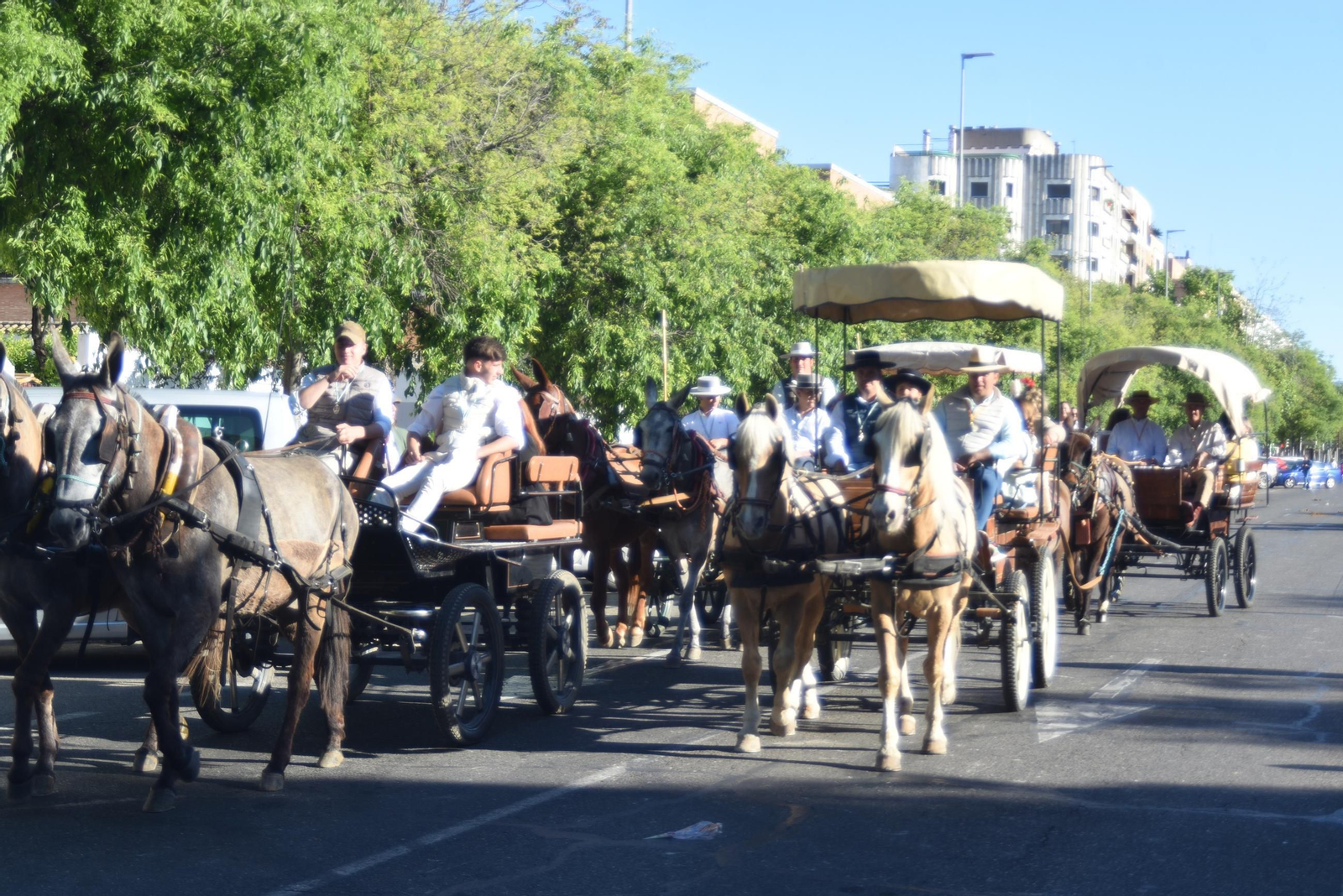 La Romería de Santo Domingo, en imágenes