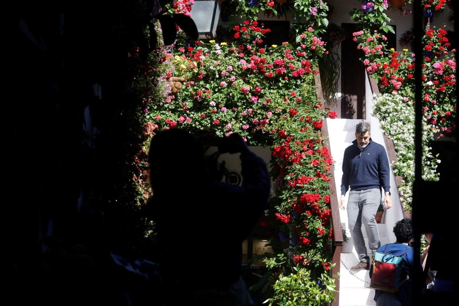 Las mejores imágenes del primer día de Patios en Córdoba