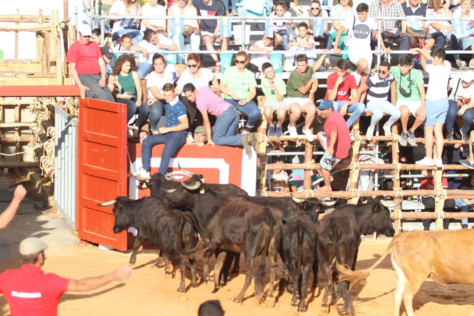Comienzan las capeas en San Juan del Puerto