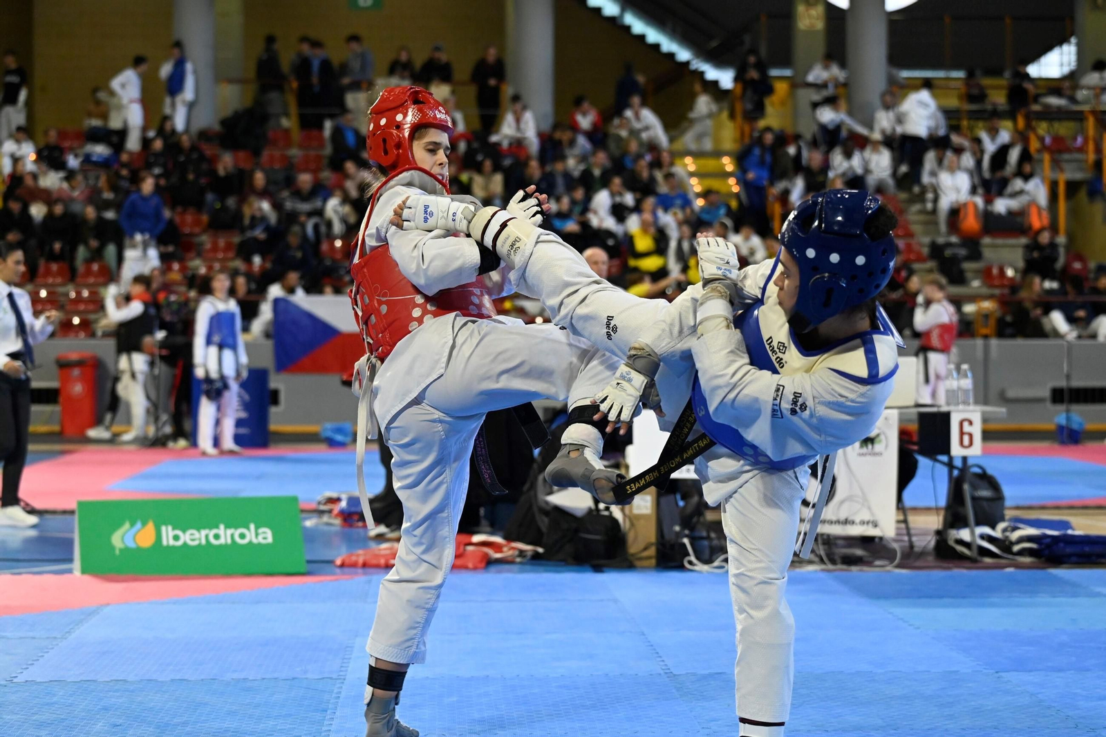 Las mejores fotos del Open Internacional de Andalucía de taekwondo en Córdoba