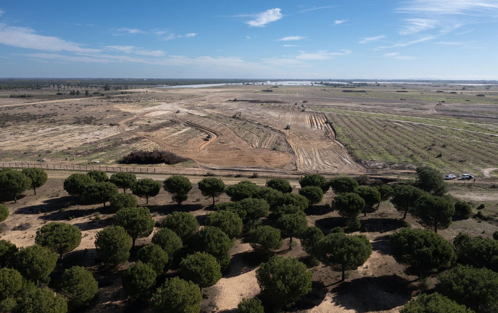 La renaturalización de Los Mimbrales: imágenes de la transformación del espacio natural