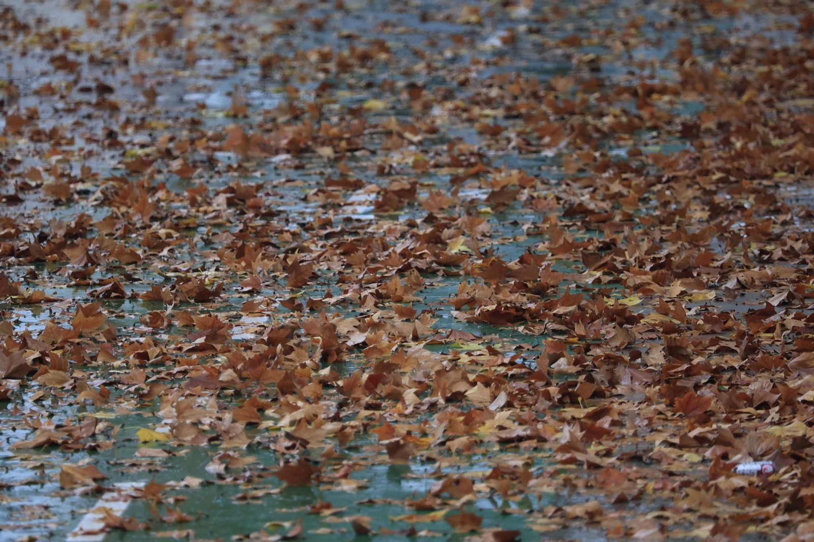 Las fotos de los efectos de la borrasca Emilia en el Campo de Gibraltar