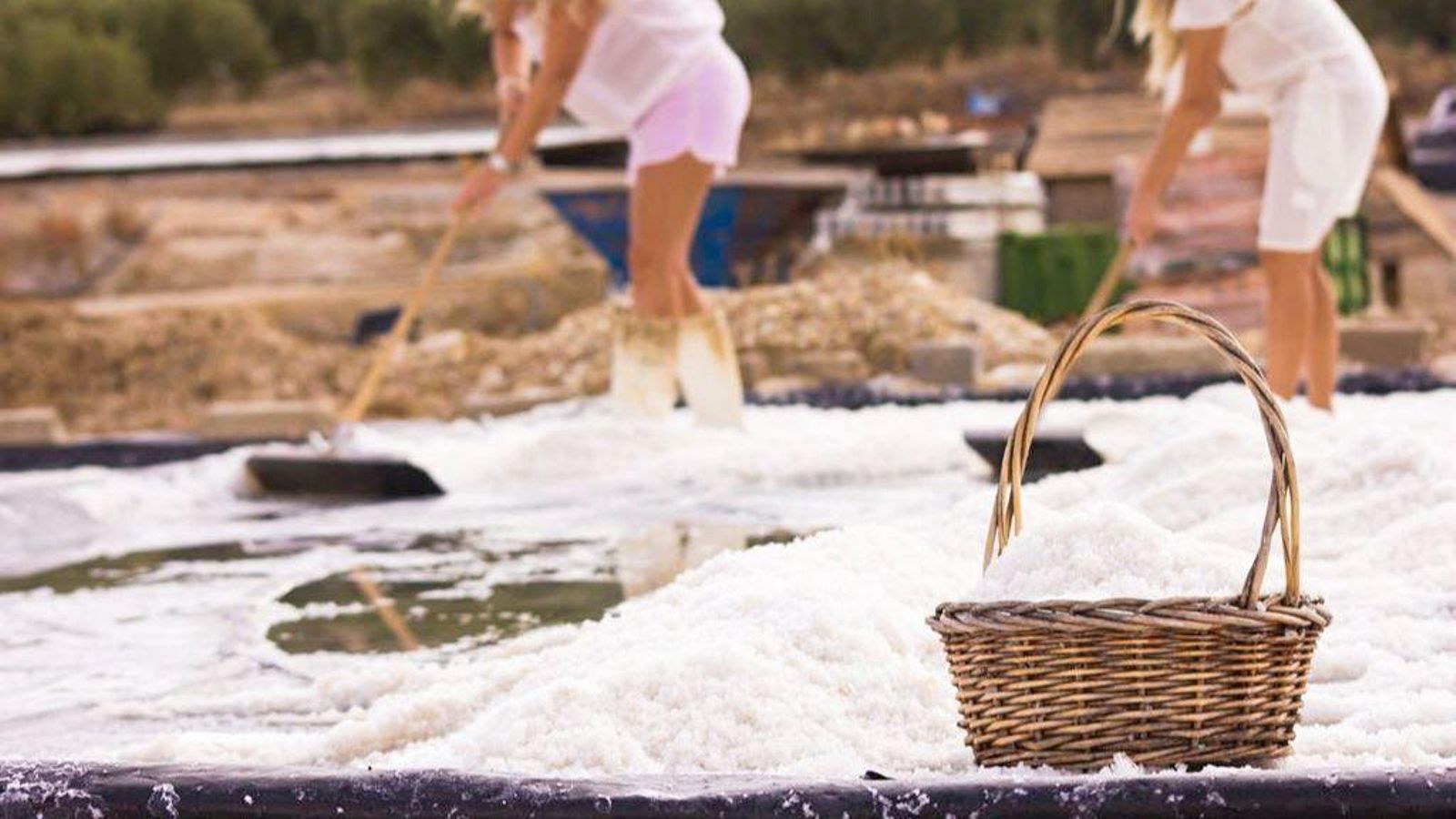 Recogida de las sales en Salinas Don Diego.