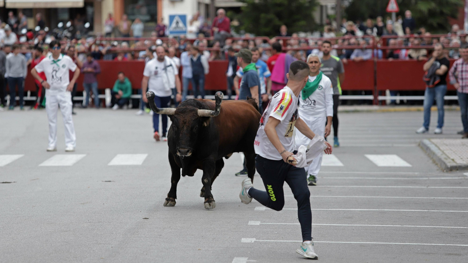 Imágenes del Toro Embolao de Los Barrios