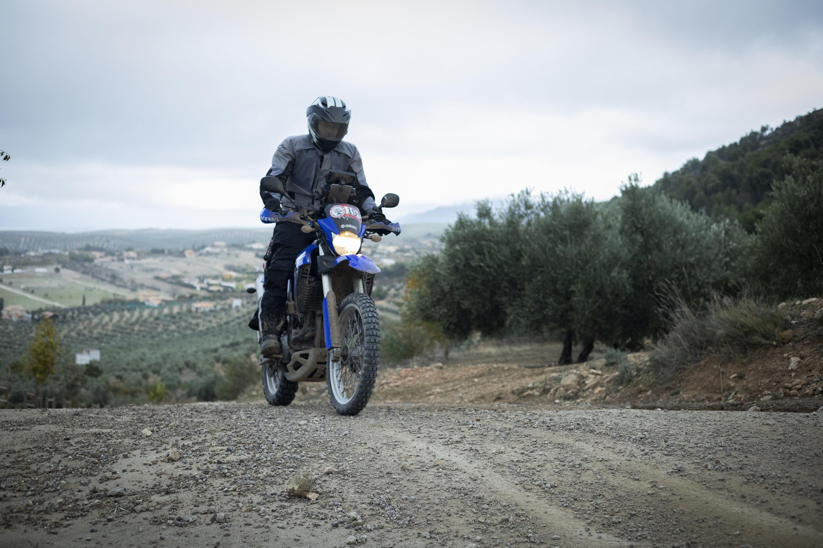 ¿Estuviste en la tercera edición de la ruta Olivobook? Búscate