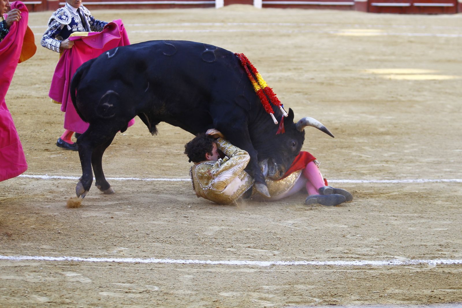 Fotogalería de la novillada de la Feria Taurina de Almería 2022