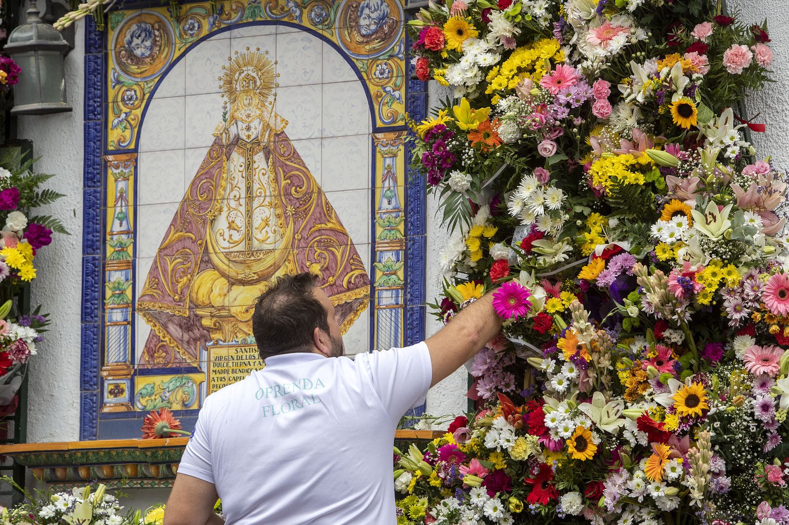 Imágenes de la ofrenda floral a la Patrona