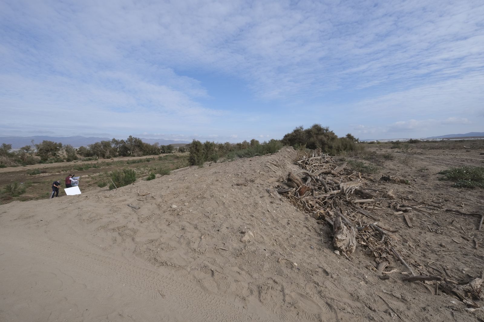 Restauración paisajística de la Rambla Morales, Cabo de Gata. Almería