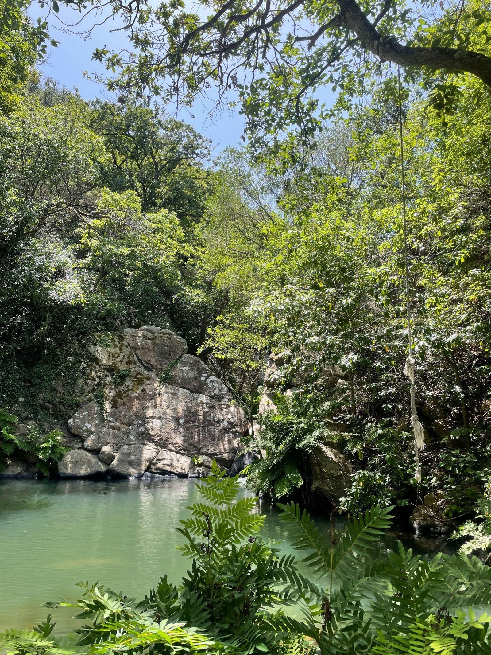 El sendero de la ruta de la Miel en Algeciras, en imágenes