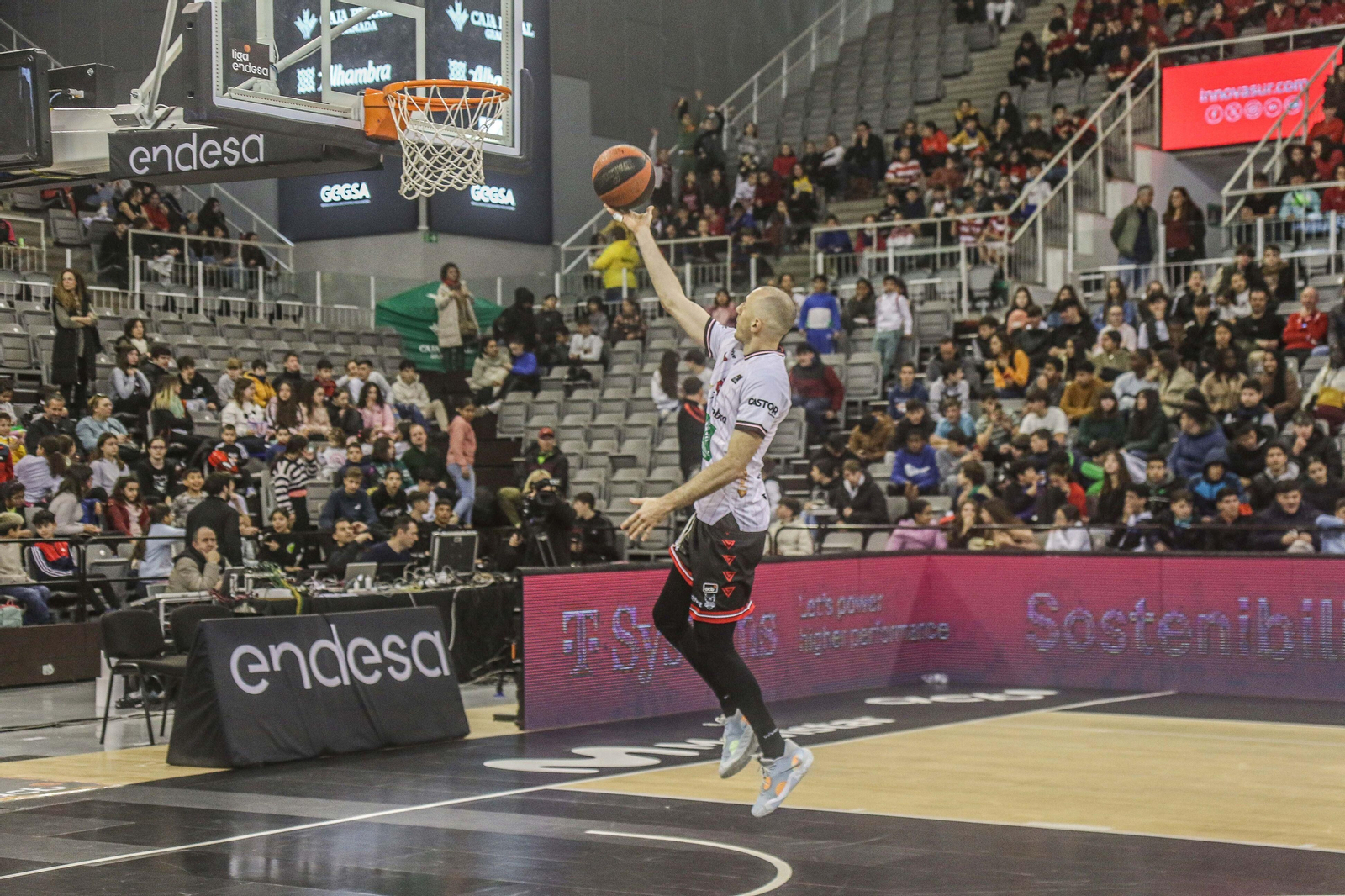 Las mejores imágenes del Fenix Camp en el Palacio