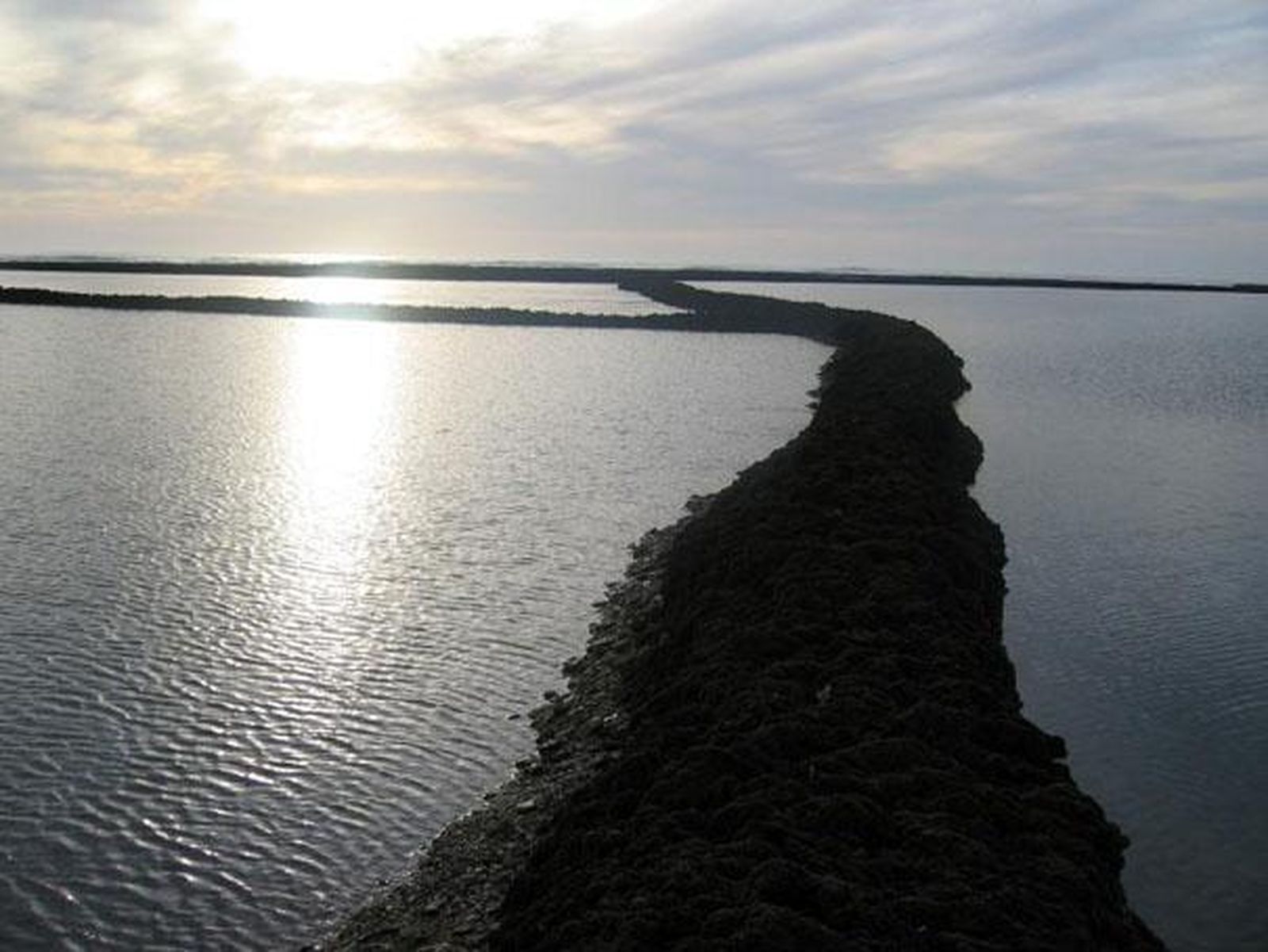 Los Corrales de Rota, en la provincia de Cádiz, monumento natural.