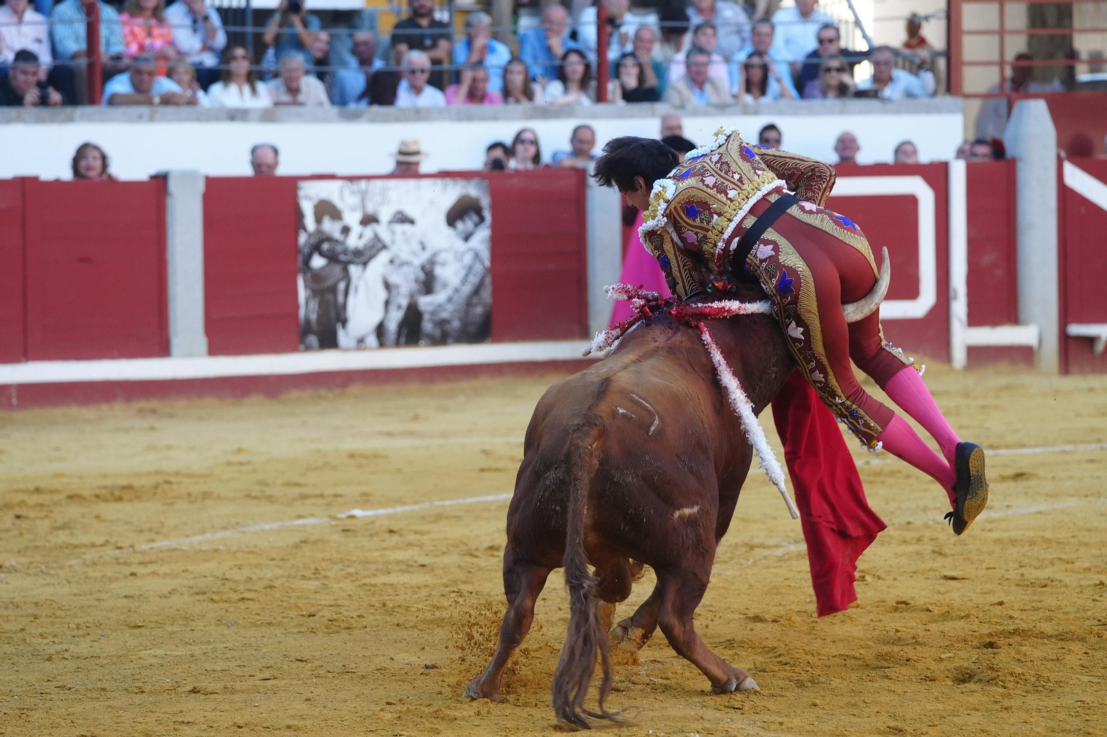 El triunfo de Rocío Romero, Manzanares y Roca Rey en la plaza de toros Pozoblanco, en imágenes
