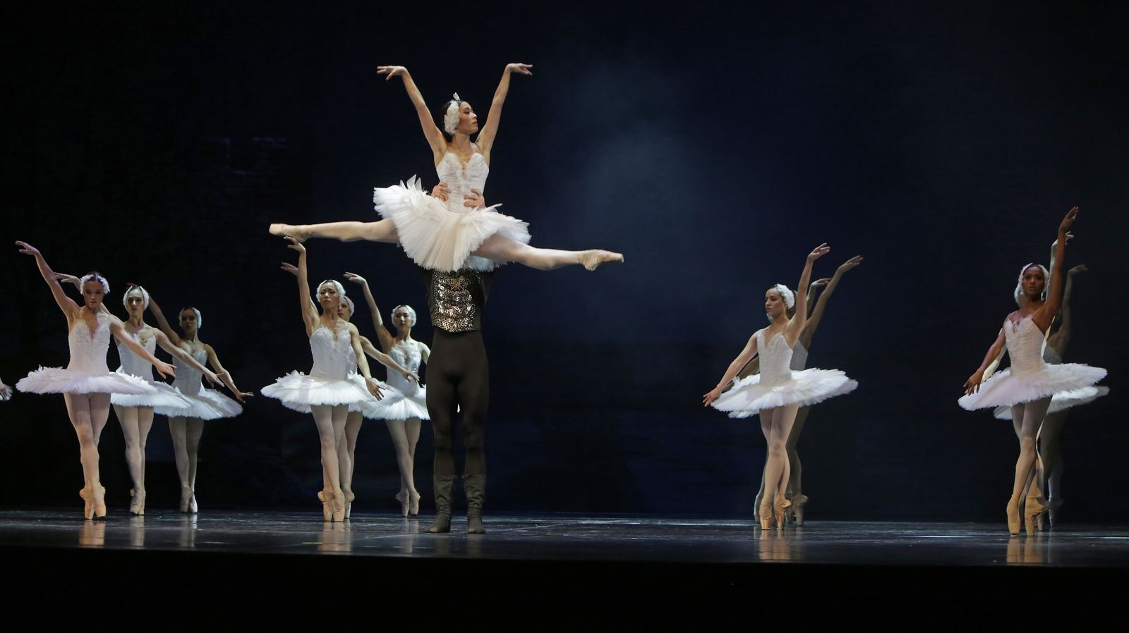 EL LAGO DE LOS CISNES