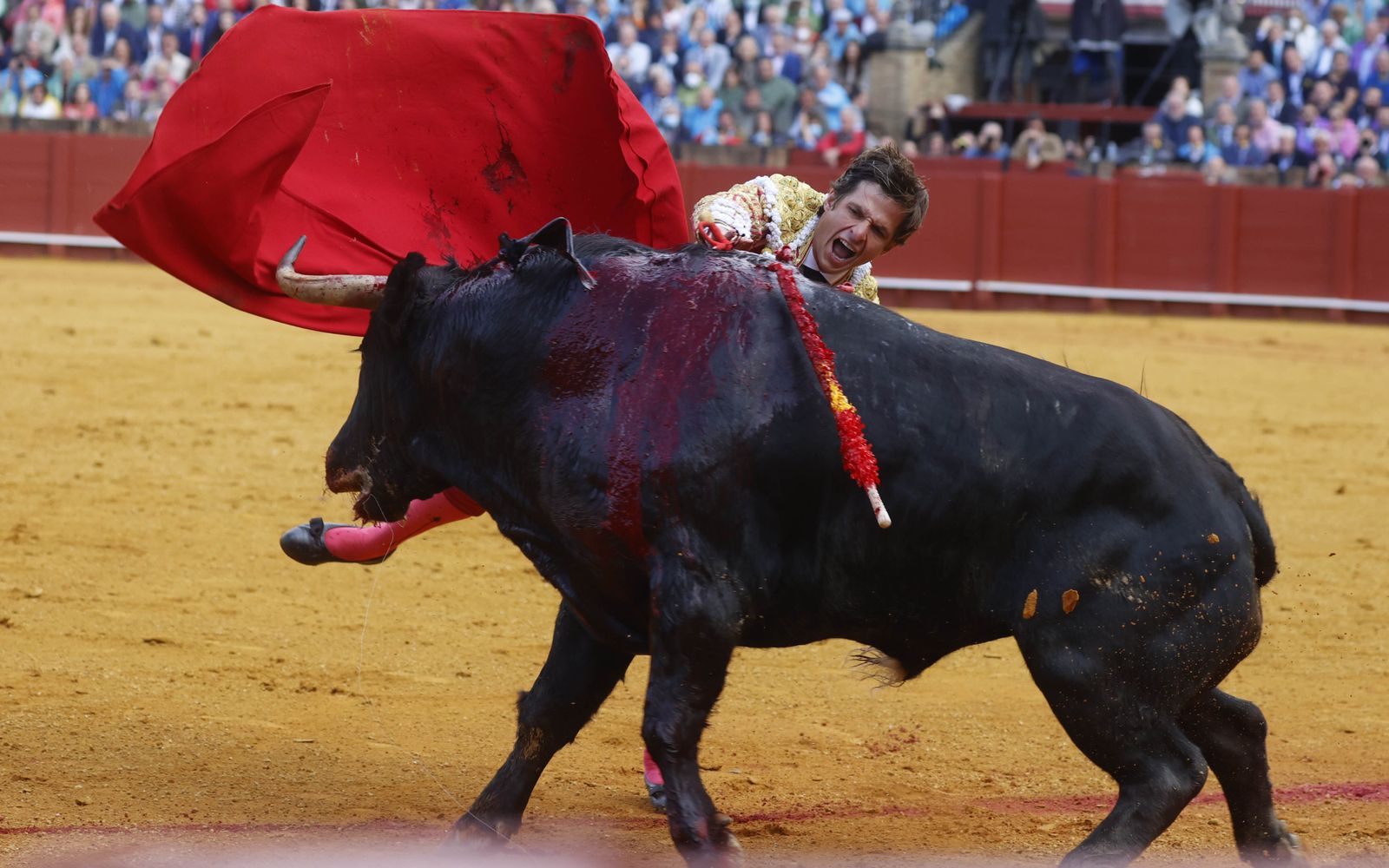 La décima de abono en imágenes