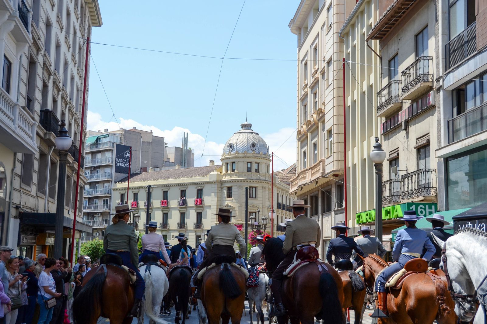 La salida de la Hermandad del Rocío de Granada, en imágenes