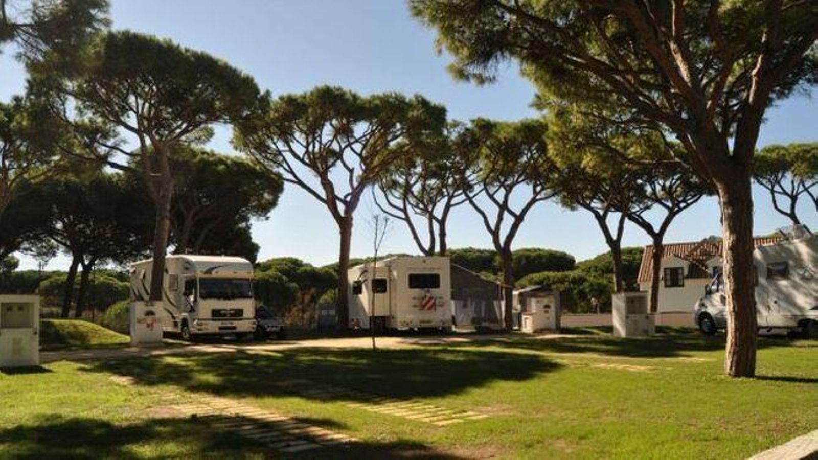 Camping Pinar San José