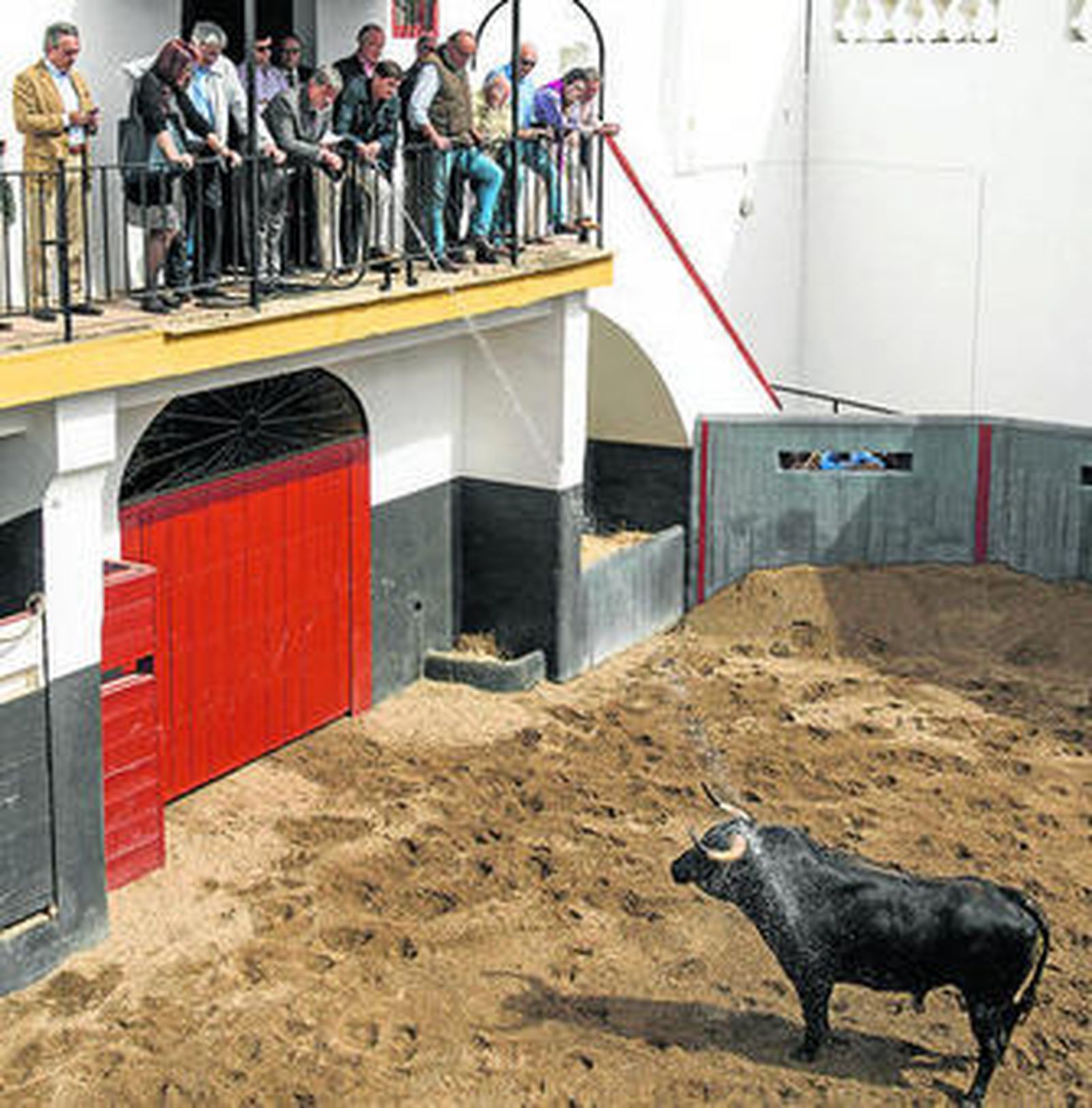 Reconocimiento de los toros de Juan Pedro Domecq, ayer, presidido por el delegado del Gobierno, Juan Carlos Raffo.