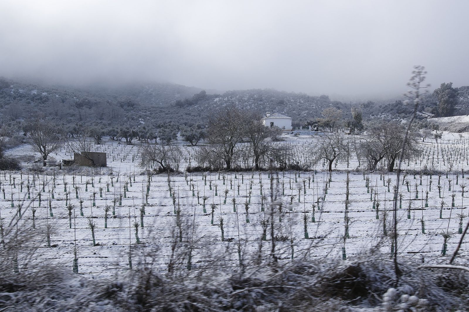Nieva en la Sierra Norte de Sevilla