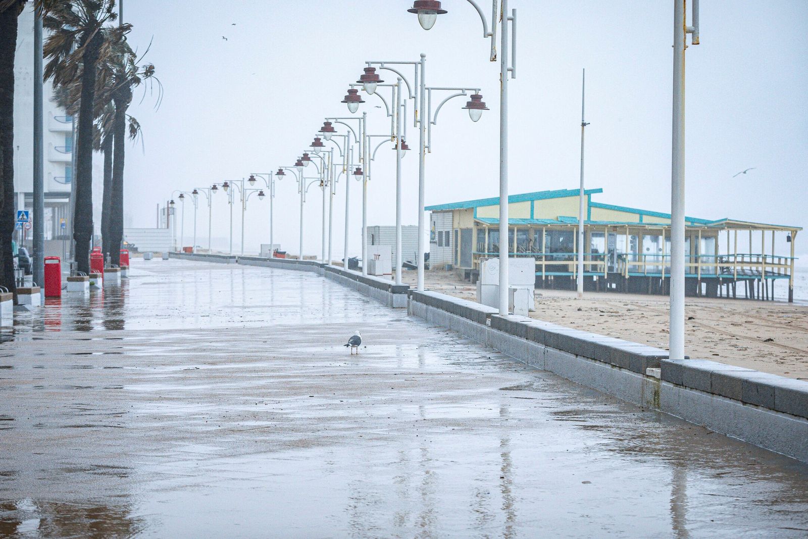 Imagen de esta mañana de jueves del Paseo Marítimo de Cádiz, con el chiringuito Potito, el más afectado por el temporal, al fondo.