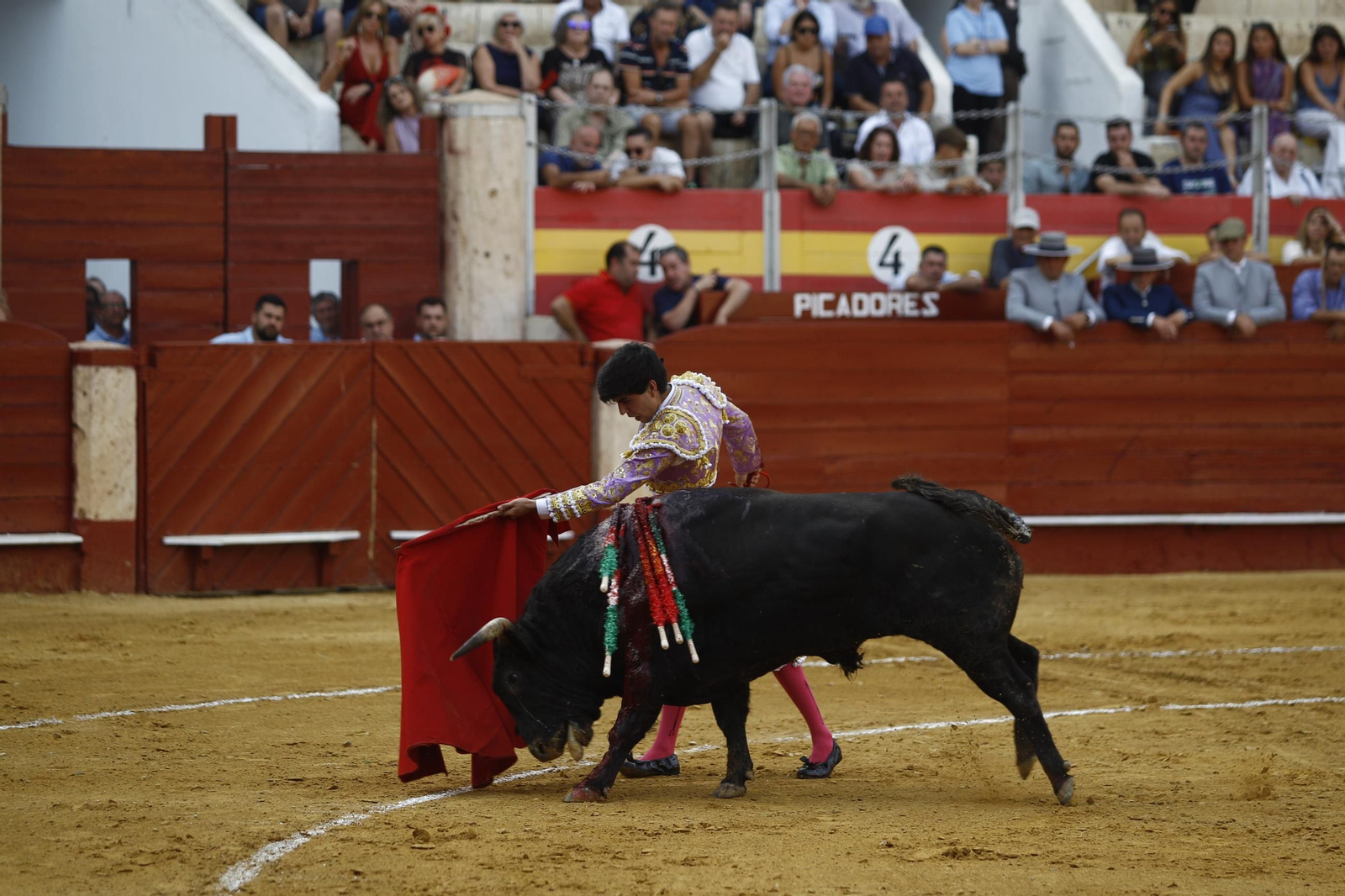 Imágenes de la novillada de la Feria de Almería 2025