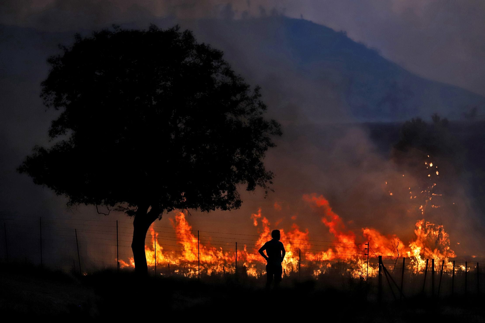 Imágenes del incendio en Almonaster La Real