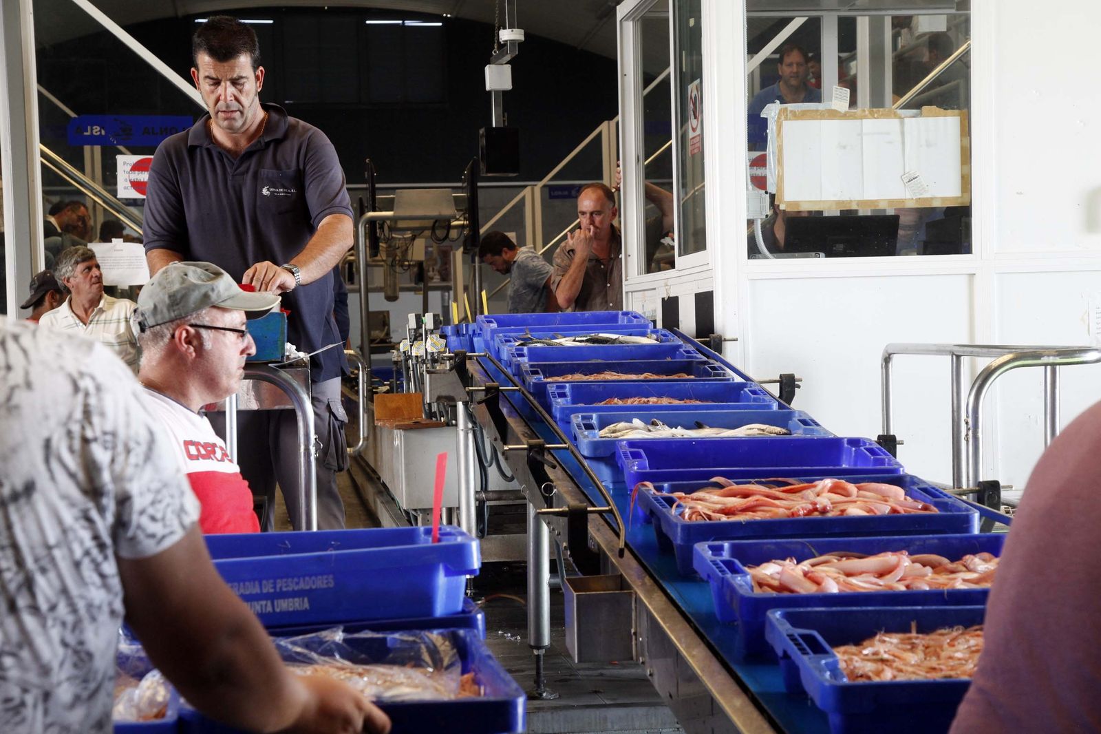 La Lonja de Isla Cristina en plena actividad.