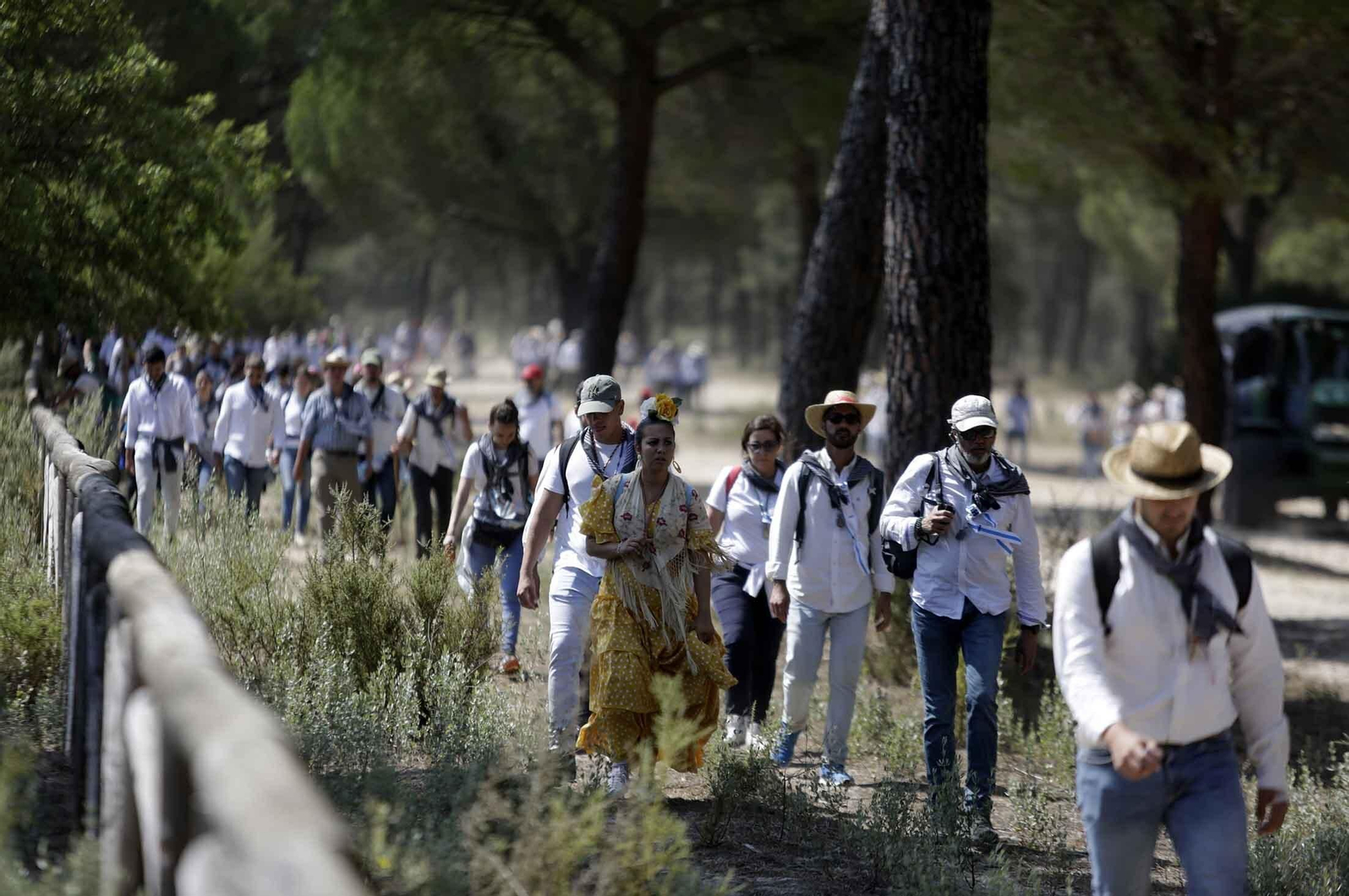 El Rocío 2023: Imágenes del Camino de la Hermandad del Rocío de Huelva