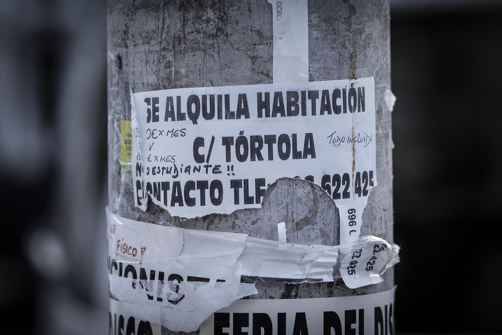 Imagen de archivo de un anuncio de alquiler en las calles de Granada. Imagen de archivo de un anuncio de alquiler en las calles de Granada.