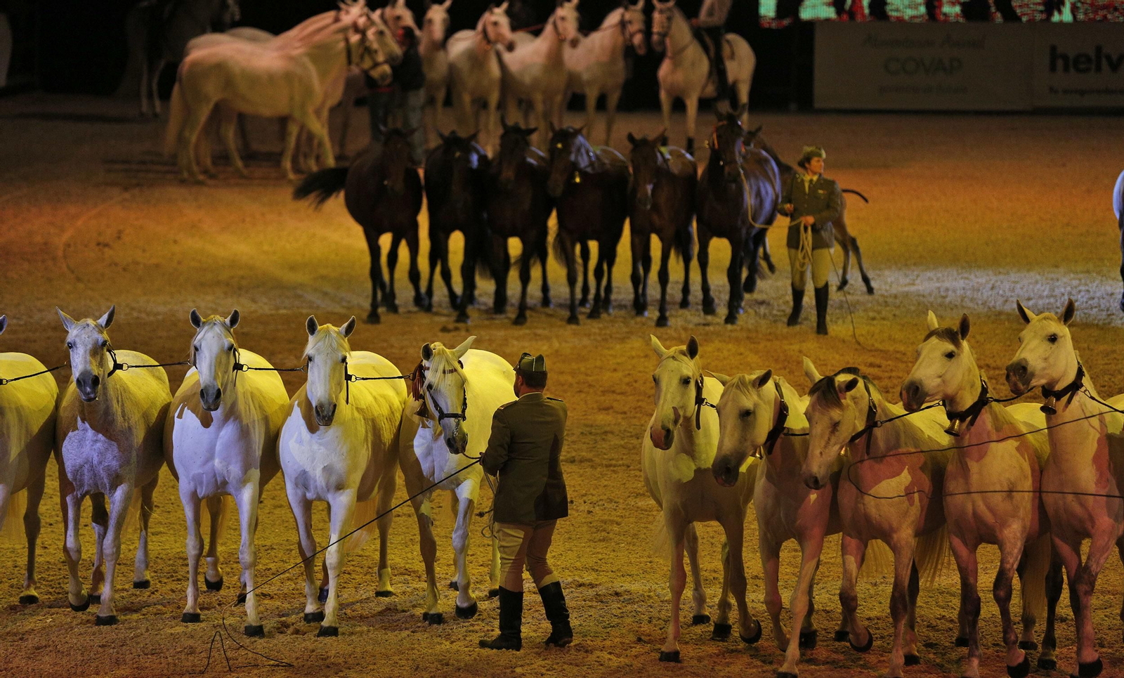 Inauguración de Sicab 2017