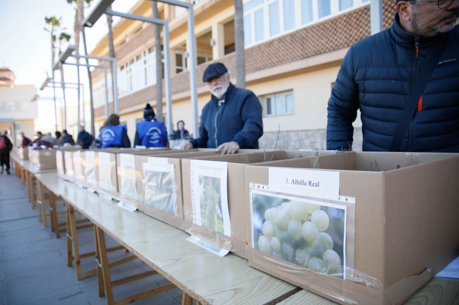 Imágenes del reparto de Parras en Alhama de Almería