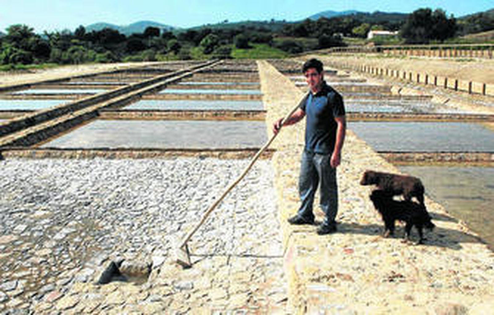 José Antonio García Bazán, el joven salinero de la comarca en una de las pozas de la explotación.