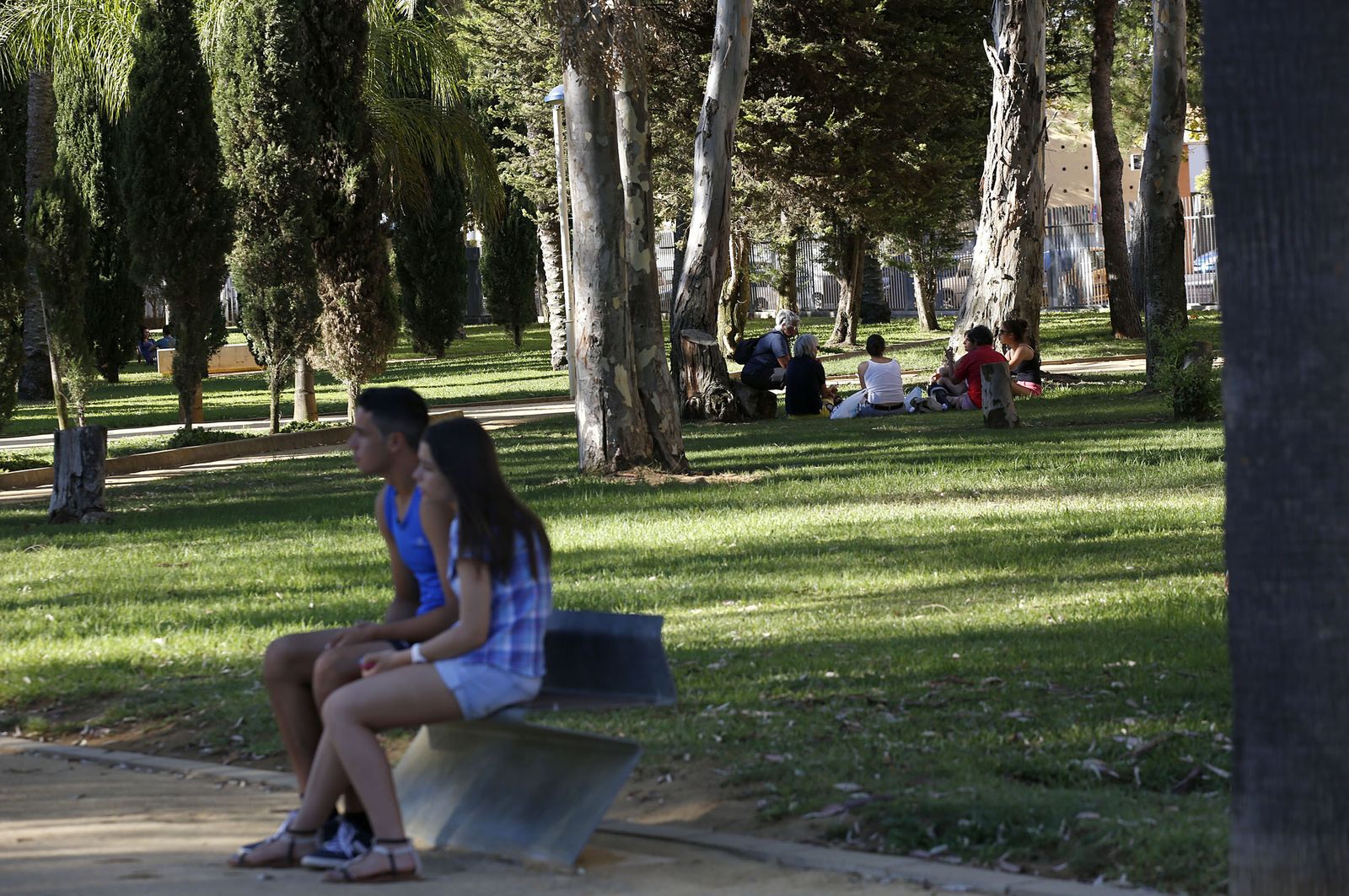 Varias personas en un parque público de la ciudad.