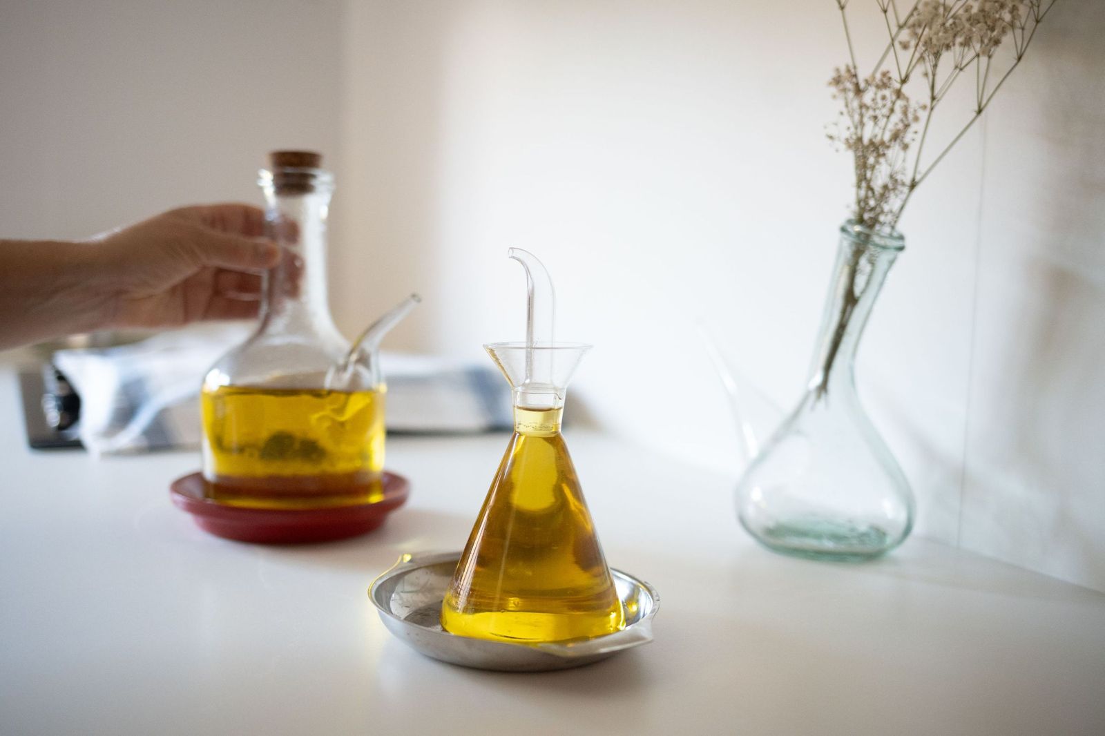 Los mejores alimentos para luchar contra el envejecimiento