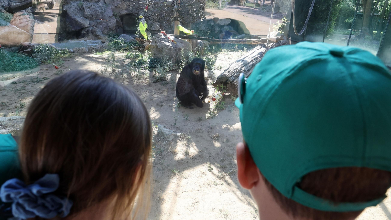 Visita a la escuela de verano en el Zoo de Jerez