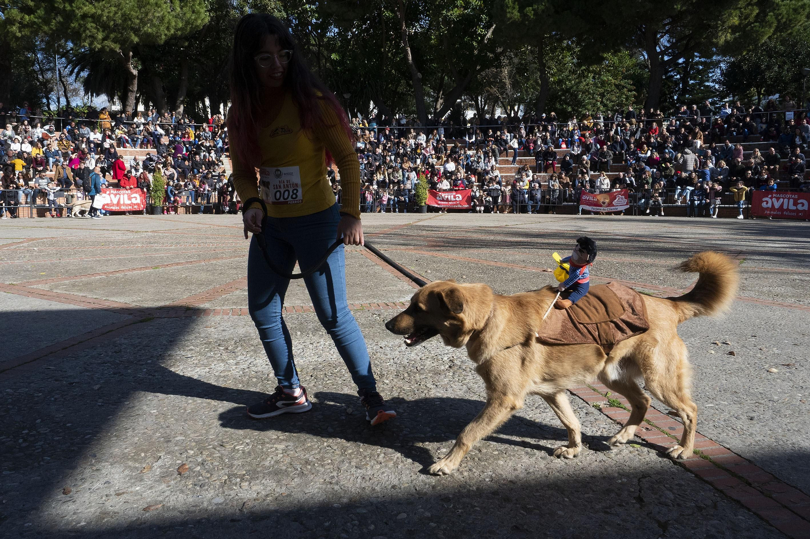 Las imágenes de la fiesta de San Antón en San Fernando