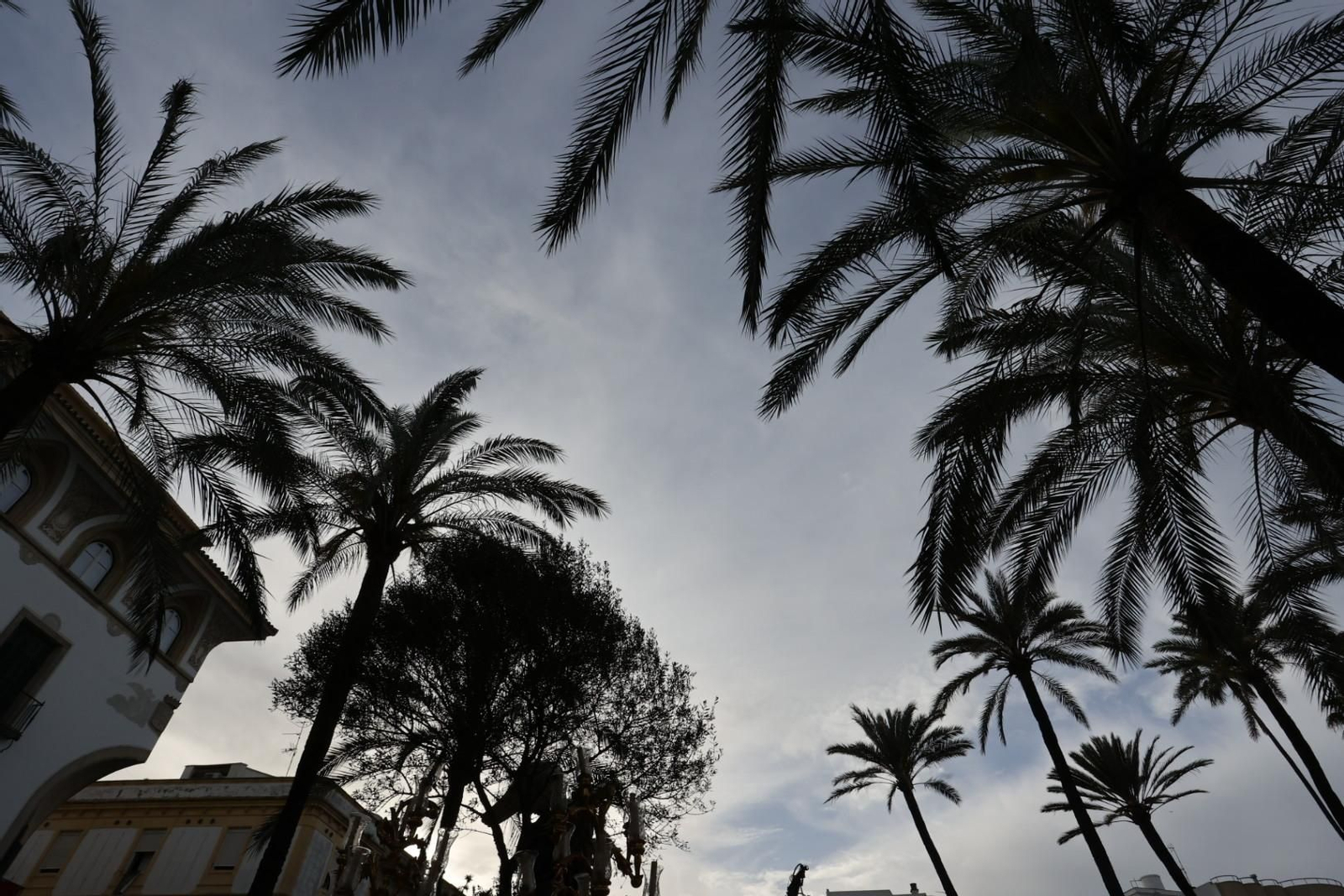 Jueves Santo en Jerez: imágenes de la Hermandad de la Oración en el Huerto