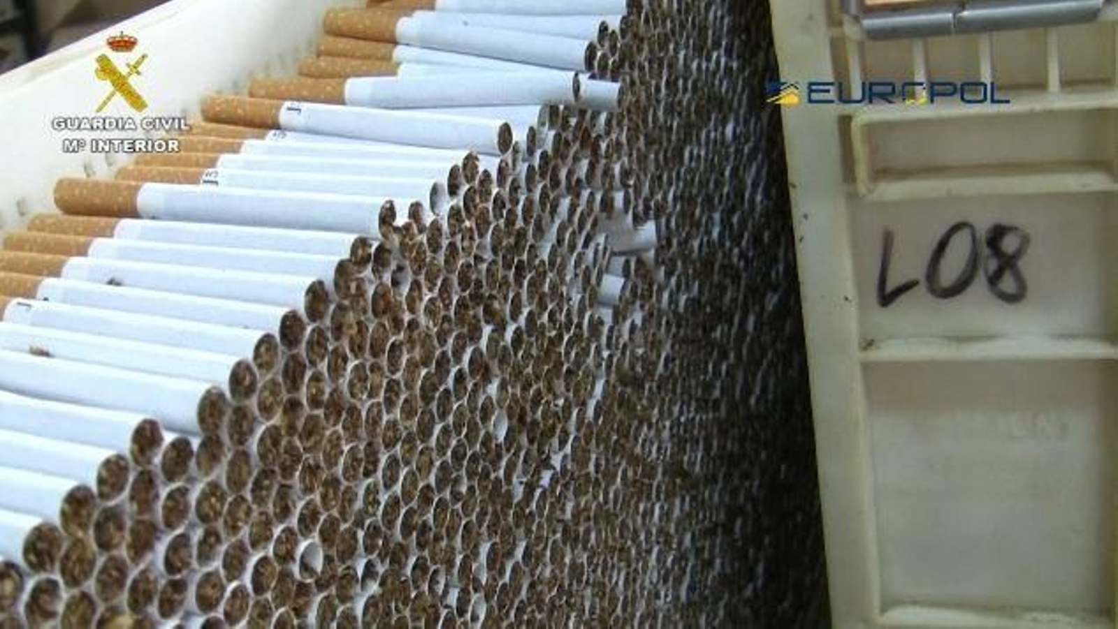 Fábrica de tabaco ilegal intervenida