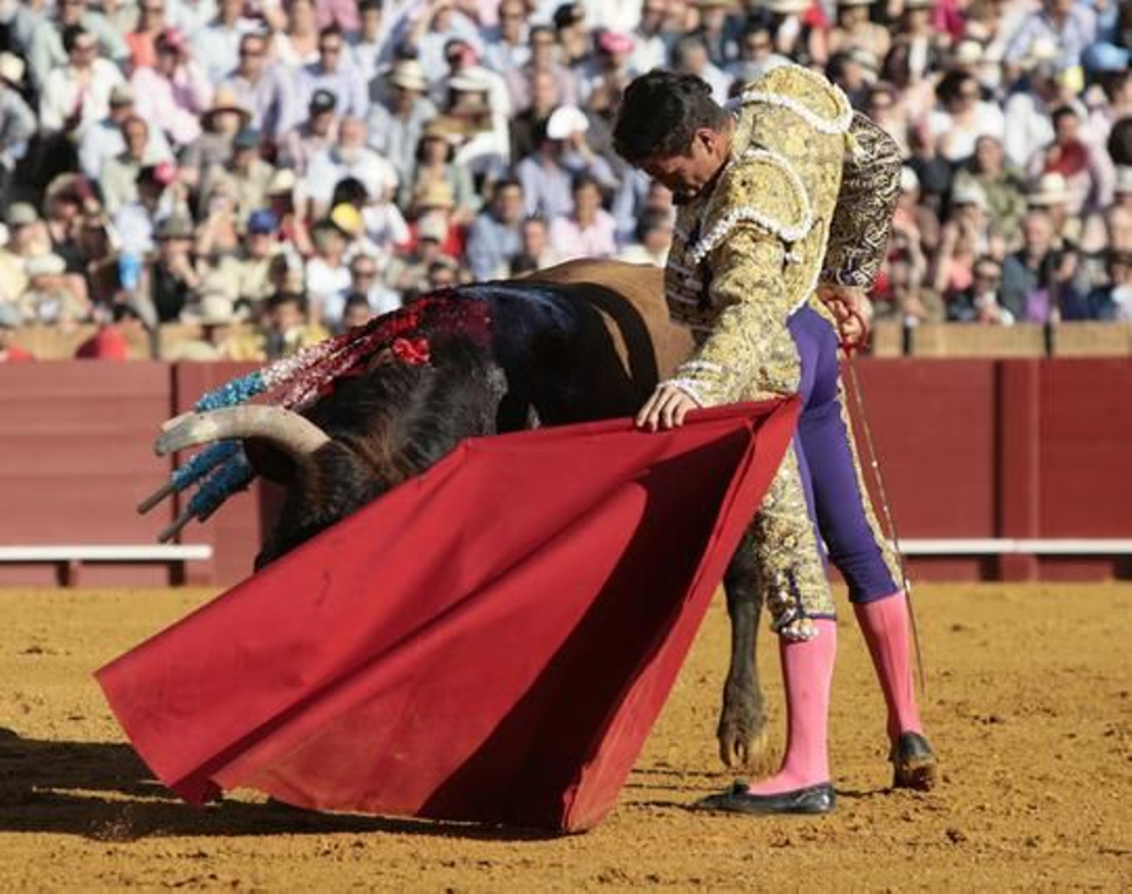Manzanares con el segundo de la tarde en la treceava del abono de La Maestranza.

Foto: Juan Carlos Muñoz