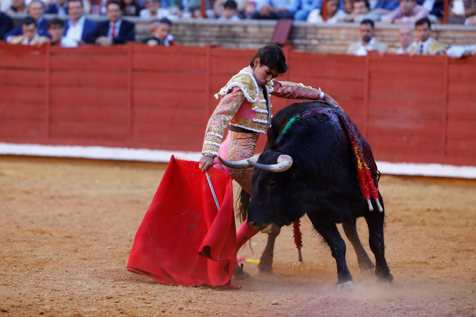 La presentación del novillero Manuel Román en Córdoba, en imágenes