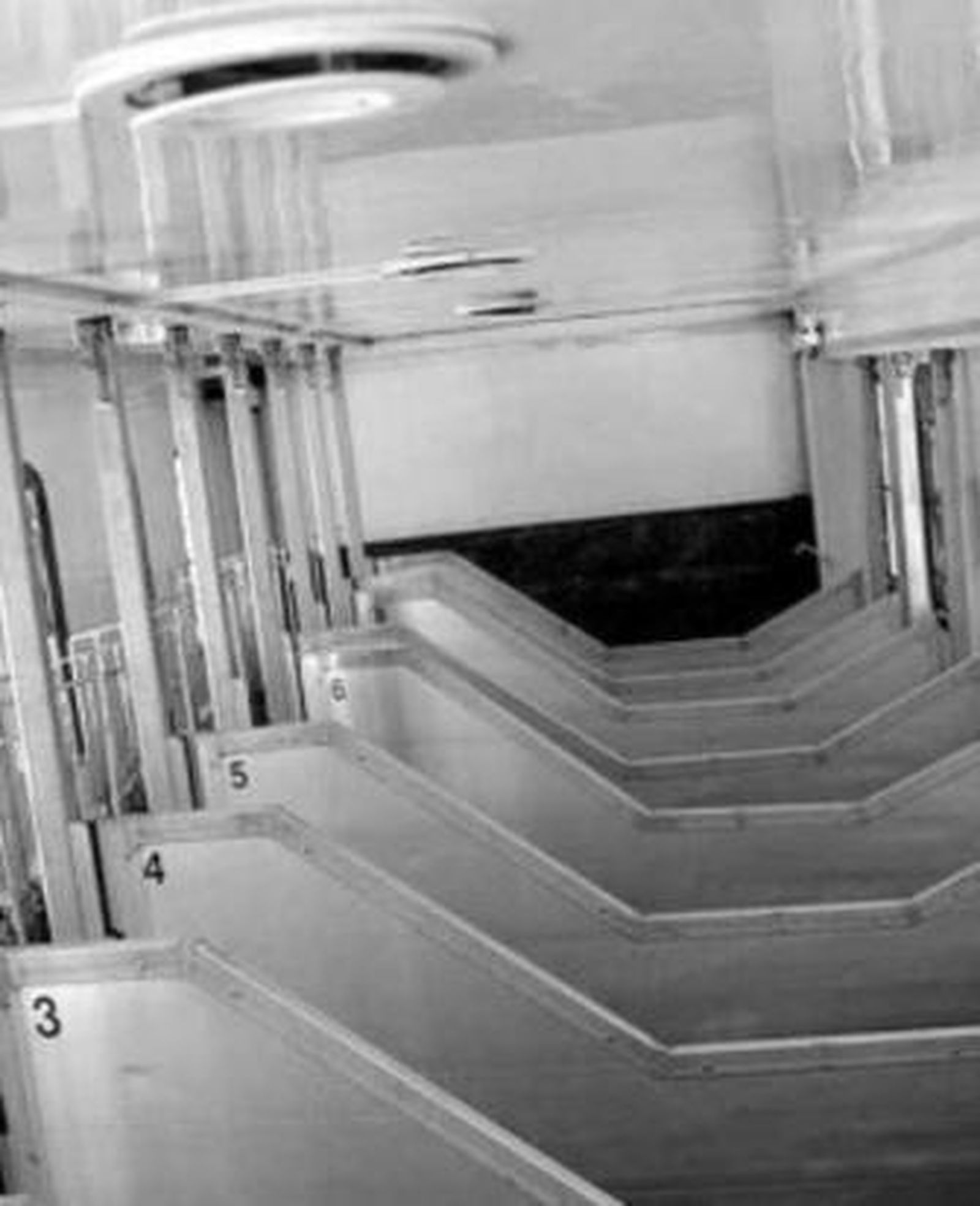 Comedero y bebedero electrónico, que funciona a voluntad del caballo.