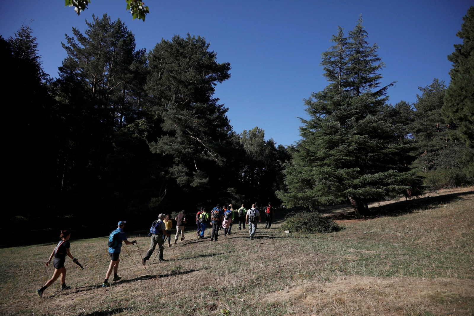 El dispositivo de búsqueda encuentra el cadáver de Blanca Fernández Ochoa