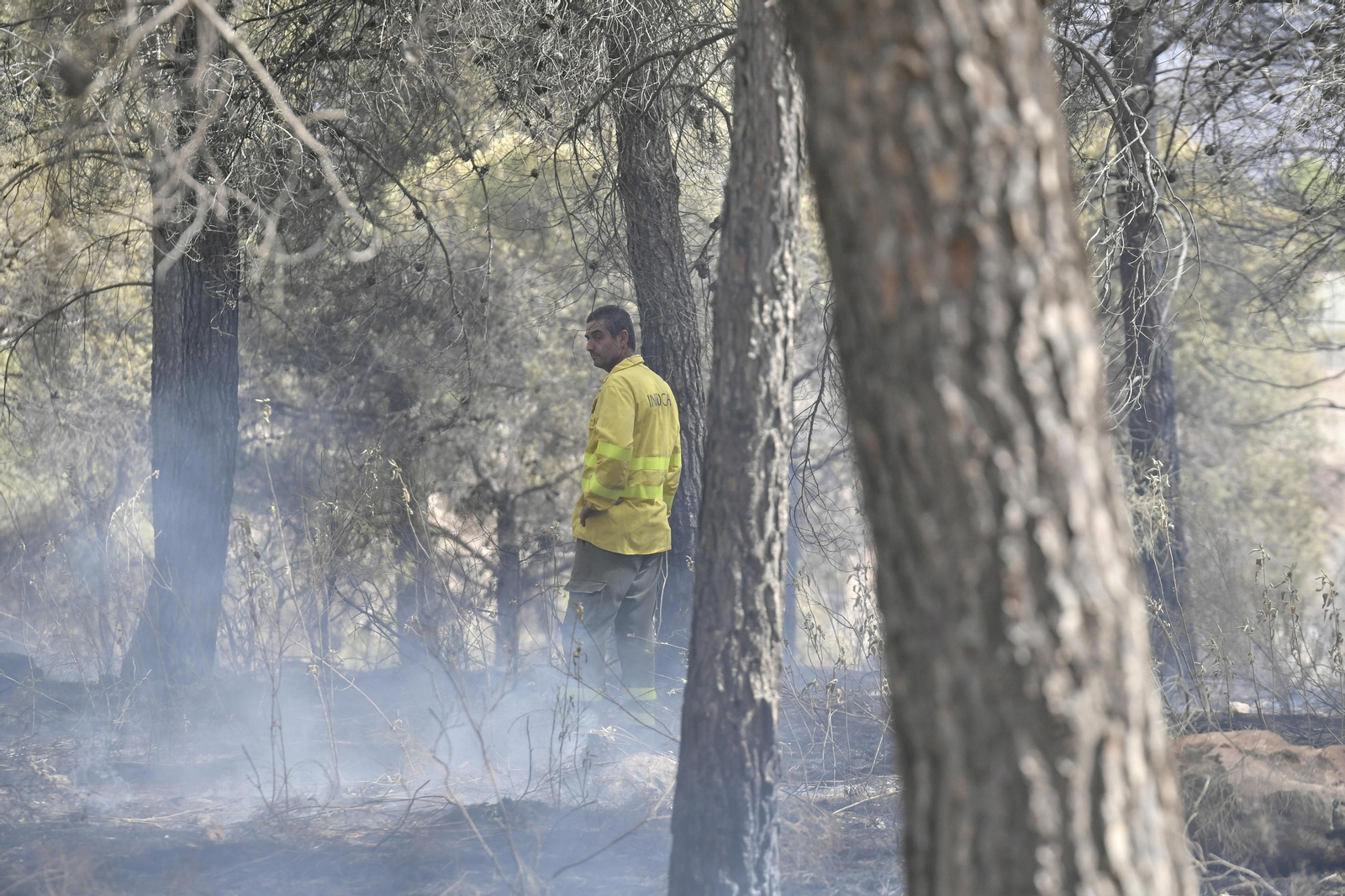 Las imágenes del incendio de Granada que causa terror en la provincia