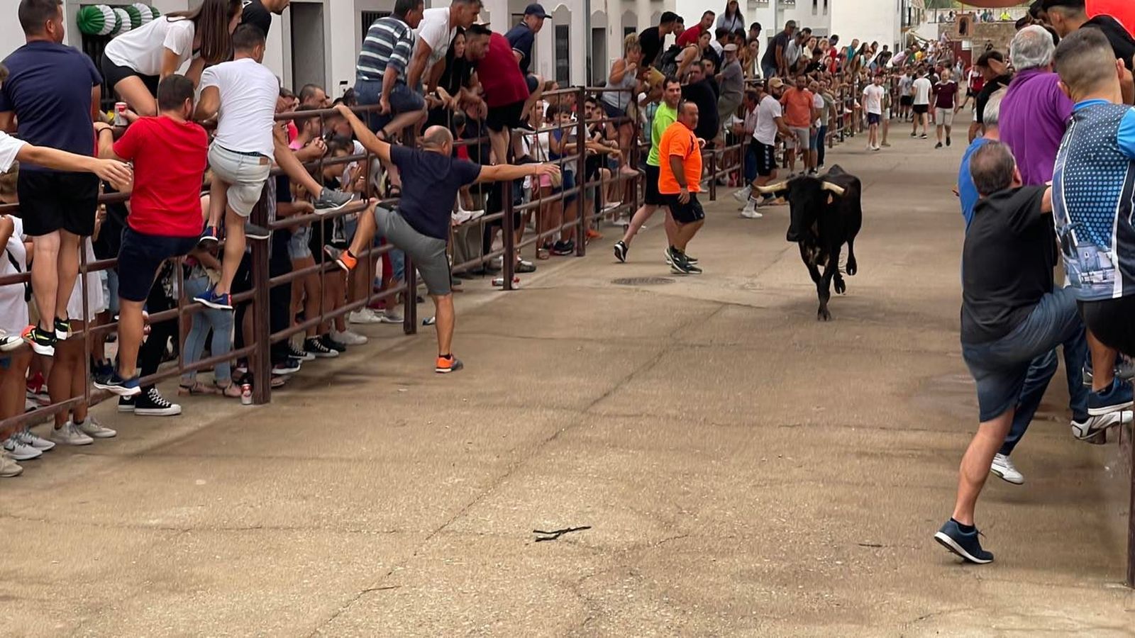 El encierro taurino de Dos Torres por San Roque, en imágenes