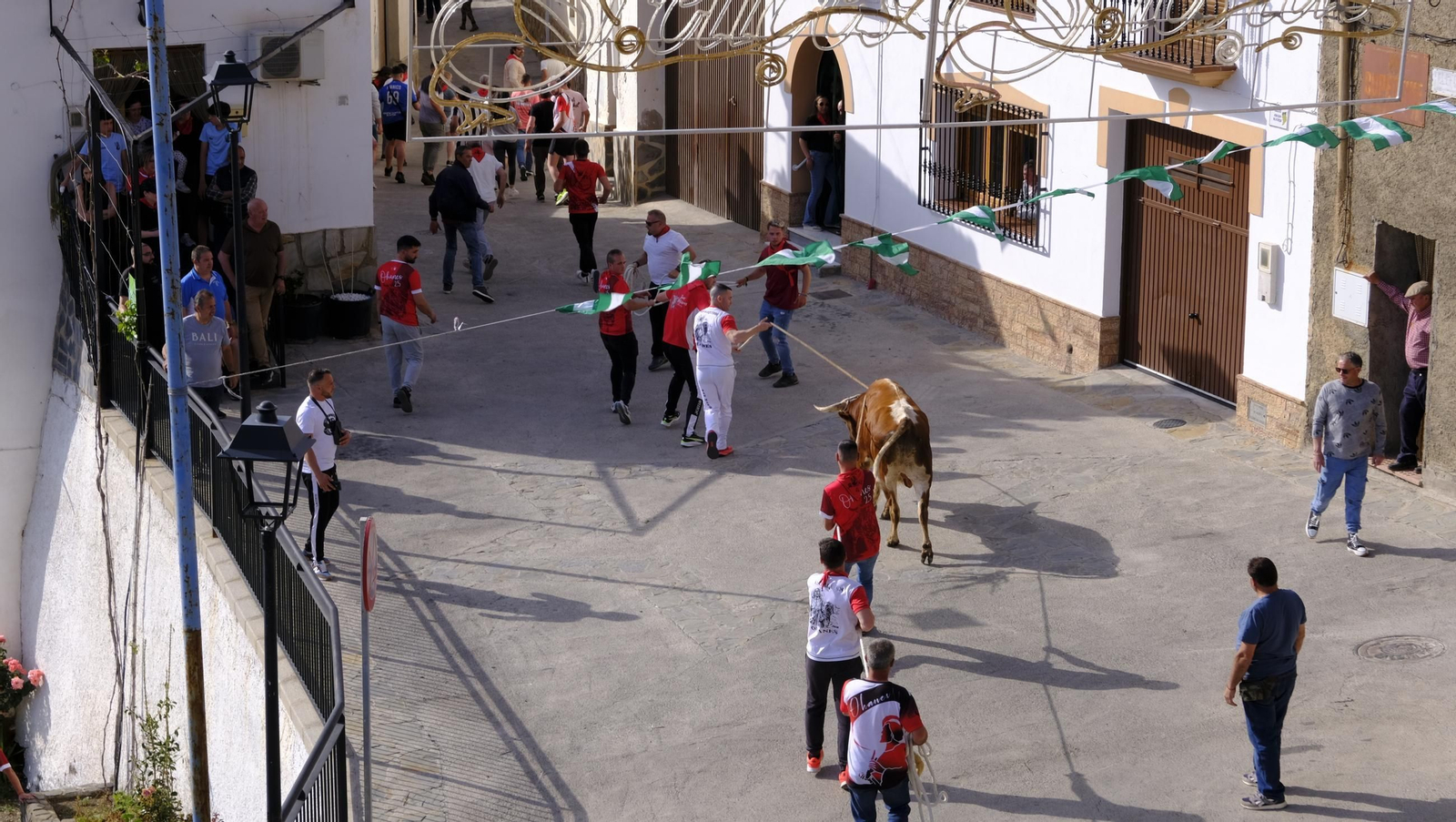 Los toros ensogados de Ohanes, en imágenes