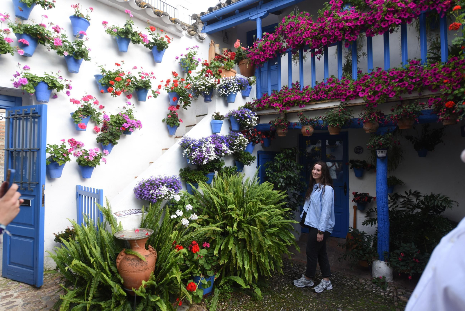 Los Patios de la ruta de San Lorenzo, en imágenes