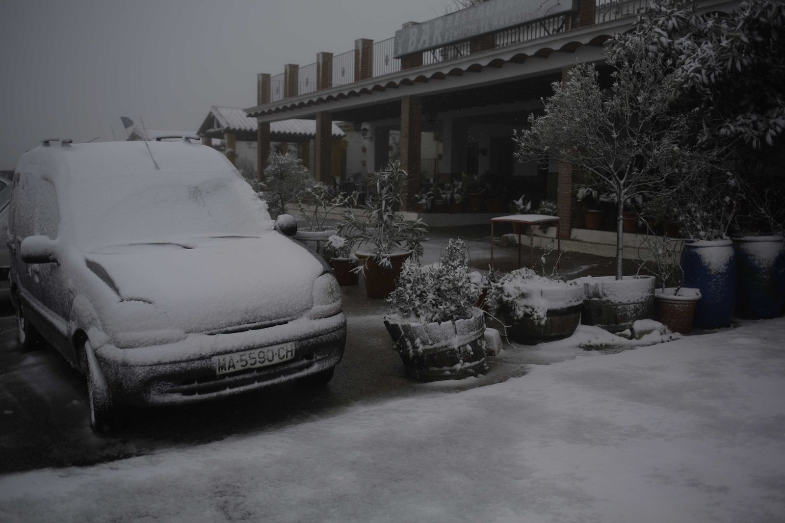La nevada en el interior de Málaga, en imágenes